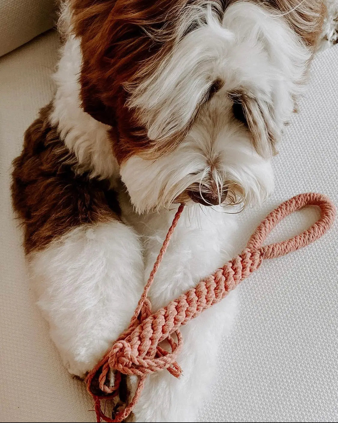 Macrame Rope Dog Tug Toy - Coral