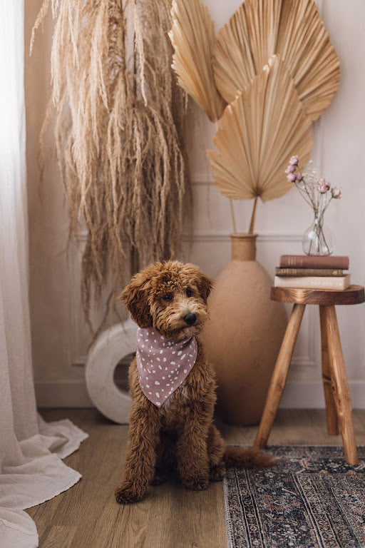 Pink Raisin // Bandana