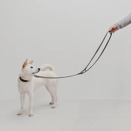 MELLEM | wide | convertible length waterproof leash